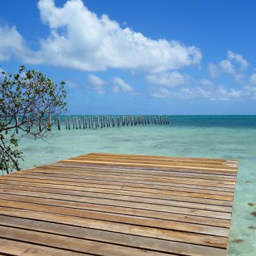 Caye Caulker Steg